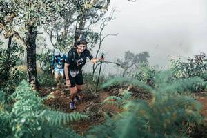 BIB: 
                            <button type="button" onclick="openModal(25338030)" class="btn btn-primary btn-sm float-right btn-popup" data-toggle="modal" data-target=".modal-high-quality">
                        <i class="fas fa-shopping-cart"></i> Add to Cart
                    </button>
                                            <button type="button" onclick="isThisMe(25338030, true)" class="btn btn-success btn-sm float-right btn-popup btn-isme hidden" data-toggle="tooltip" data-placement="bottom" title="นี่คือรูปของคุณใช่ไหม คลิกที่นี่เพื่อเอาเข้าอัลบั้ม">
                        <i class="fas fa-plus"></i> Add to album
                    </button>
                    <button type="button" onclick="isThisMe(25338030, false)" class="btn btn-warning btn-sm float-right btn-popup btn-isnotme hidden">
                        <i class="fas fa-ban"></i> Remove from album
                    </button>