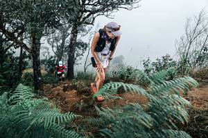 BIB: 
                            <button type="button" onclick="openModal(25330150)" class="btn btn-primary btn-sm float-right btn-popup" data-toggle="modal" data-target=".modal-high-quality">
                        <i class="fas fa-shopping-cart"></i> Add to Cart
                    </button>
                                            <button type="button" onclick="isThisMe(25330150, true)" class="btn btn-success btn-sm float-right btn-popup btn-isme hidden" data-toggle="tooltip" data-placement="bottom" title="นี่คือรูปของคุณใช่ไหม คลิกที่นี่เพื่อเอาเข้าอัลบั้ม">
                        <i class="fas fa-plus"></i> Add to album
                    </button>
                    <button type="button" onclick="isThisMe(25330150, false)" class="btn btn-warning btn-sm float-right btn-popup btn-isnotme hidden">
                        <i class="fas fa-ban"></i> Remove from album
                    </button>