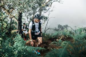 BIB: 
                            <button type="button" onclick="openModal(25338122)" class="btn btn-primary btn-sm float-right btn-popup" data-toggle="modal" data-target=".modal-high-quality">
                        <i class="fas fa-shopping-cart"></i> Add to Cart
                    </button>
                                            <button type="button" onclick="isThisMe(25338122, true)" class="btn btn-success btn-sm float-right btn-popup btn-isme hidden" data-toggle="tooltip" data-placement="bottom" title="นี่คือรูปของคุณใช่ไหม คลิกที่นี่เพื่อเอาเข้าอัลบั้ม">
                        <i class="fas fa-plus"></i> Add to album
                    </button>
                    <button type="button" onclick="isThisMe(25338122, false)" class="btn btn-warning btn-sm float-right btn-popup btn-isnotme hidden">
                        <i class="fas fa-ban"></i> Remove from album
                    </button>