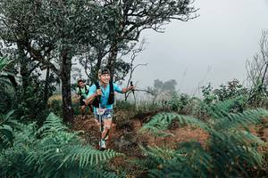 BIB: 
                            <button type="button" onclick="openModal(25329454)" class="btn btn-primary btn-sm float-right btn-popup" data-toggle="modal" data-target=".modal-high-quality">
                        <i class="fas fa-shopping-cart"></i> Add to Cart
                    </button>
                                            <button type="button" onclick="isThisMe(25329454, true)" class="btn btn-success btn-sm float-right btn-popup btn-isme hidden" data-toggle="tooltip" data-placement="bottom" title="นี่คือรูปของคุณใช่ไหม คลิกที่นี่เพื่อเอาเข้าอัลบั้ม">
                        <i class="fas fa-plus"></i> Add to album
                    </button>
                    <button type="button" onclick="isThisMe(25329454, false)" class="btn btn-warning btn-sm float-right btn-popup btn-isnotme hidden">
                        <i class="fas fa-ban"></i> Remove from album
                    </button>