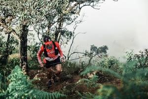 BIB: 
                            <button type="button" onclick="openModal(25337981)" class="btn btn-primary btn-sm float-right btn-popup" data-toggle="modal" data-target=".modal-high-quality">
                        <i class="fas fa-shopping-cart"></i> Add to Cart
                    </button>
                                            <button type="button" onclick="isThisMe(25337981, true)" class="btn btn-success btn-sm float-right btn-popup btn-isme hidden" data-toggle="tooltip" data-placement="bottom" title="นี่คือรูปของคุณใช่ไหม คลิกที่นี่เพื่อเอาเข้าอัลบั้ม">
                        <i class="fas fa-plus"></i> Add to album
                    </button>
                    <button type="button" onclick="isThisMe(25337981, false)" class="btn btn-warning btn-sm float-right btn-popup btn-isnotme hidden">
                        <i class="fas fa-ban"></i> Remove from album
                    </button>