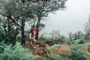 BIB: 
                            <button type="button" onclick="openModal(25329468)" class="btn btn-primary btn-sm float-right btn-popup" data-toggle="modal" data-target=".modal-high-quality">
                        <i class="fas fa-shopping-cart"></i> Add to Cart
                    </button>
                                            <button type="button" onclick="isThisMe(25329468, true)" class="btn btn-success btn-sm float-right btn-popup btn-isme hidden" data-toggle="tooltip" data-placement="bottom" title="นี่คือรูปของคุณใช่ไหม คลิกที่นี่เพื่อเอาเข้าอัลบั้ม">
                        <i class="fas fa-plus"></i> Add to album
                    </button>
                    <button type="button" onclick="isThisMe(25329468, false)" class="btn btn-warning btn-sm float-right btn-popup btn-isnotme hidden">
                        <i class="fas fa-ban"></i> Remove from album
                    </button>