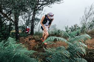 BIB: 
                            <button type="button" onclick="openModal(25330149)" class="btn btn-primary btn-sm float-right btn-popup" data-toggle="modal" data-target=".modal-high-quality">
                        <i class="fas fa-shopping-cart"></i> Add to Cart
                    </button>
                                            <button type="button" onclick="isThisMe(25330149, true)" class="btn btn-success btn-sm float-right btn-popup btn-isme hidden" data-toggle="tooltip" data-placement="bottom" title="นี่คือรูปของคุณใช่ไหม คลิกที่นี่เพื่อเอาเข้าอัลบั้ม">
                        <i class="fas fa-plus"></i> Add to album
                    </button>
                    <button type="button" onclick="isThisMe(25330149, false)" class="btn btn-warning btn-sm float-right btn-popup btn-isnotme hidden">
                        <i class="fas fa-ban"></i> Remove from album
                    </button>