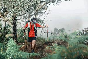 BIB: 
                            <button type="button" onclick="openModal(25338008)" class="btn btn-primary btn-sm float-right btn-popup" data-toggle="modal" data-target=".modal-high-quality">
                        <i class="fas fa-shopping-cart"></i> Add to Cart
                    </button>
                                            <button type="button" onclick="isThisMe(25338008, true)" class="btn btn-success btn-sm float-right btn-popup btn-isme hidden" data-toggle="tooltip" data-placement="bottom" title="นี่คือรูปของคุณใช่ไหม คลิกที่นี่เพื่อเอาเข้าอัลบั้ม">
                        <i class="fas fa-plus"></i> Add to album
                    </button>
                    <button type="button" onclick="isThisMe(25338008, false)" class="btn btn-warning btn-sm float-right btn-popup btn-isnotme hidden">
                        <i class="fas fa-ban"></i> Remove from album
                    </button>