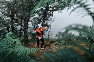 BIB: 
                            <button type="button" onclick="openModal(25328933)" class="btn btn-primary btn-sm float-right btn-popup" data-toggle="modal" data-target=".modal-high-quality">
                        <i class="fas fa-shopping-cart"></i> Add to Cart
                    </button>
                                            <button type="button" onclick="isThisMe(25328933, true)" class="btn btn-success btn-sm float-right btn-popup btn-isme hidden" data-toggle="tooltip" data-placement="bottom" title="นี่คือรูปของคุณใช่ไหม คลิกที่นี่เพื่อเอาเข้าอัลบั้ม">
                        <i class="fas fa-plus"></i> Add to album
                    </button>
                    <button type="button" onclick="isThisMe(25328933, false)" class="btn btn-warning btn-sm float-right btn-popup btn-isnotme hidden">
                        <i class="fas fa-ban"></i> Remove from album
                    </button>