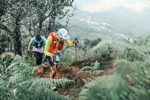 BIB: 
                            <button type="button" onclick="openModal(25339425)" class="btn btn-primary btn-sm float-right btn-popup" data-toggle="modal" data-target=".modal-high-quality">
                        <i class="fas fa-shopping-cart"></i> Add to Cart
                    </button>
                                            <button type="button" onclick="isThisMe(25339425, true)" class="btn btn-success btn-sm float-right btn-popup btn-isme hidden" data-toggle="tooltip" data-placement="bottom" title="นี่คือรูปของคุณใช่ไหม คลิกที่นี่เพื่อเอาเข้าอัลบั้ม">
                        <i class="fas fa-plus"></i> Add to album
                    </button>
                    <button type="button" onclick="isThisMe(25339425, false)" class="btn btn-warning btn-sm float-right btn-popup btn-isnotme hidden">
                        <i class="fas fa-ban"></i> Remove from album
                    </button>