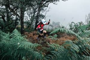 BIB: 
                            <button type="button" onclick="openModal(25330166)" class="btn btn-primary btn-sm float-right btn-popup" data-toggle="modal" data-target=".modal-high-quality">
                        <i class="fas fa-shopping-cart"></i> Add to Cart
                    </button>
                                            <button type="button" onclick="isThisMe(25330166, true)" class="btn btn-success btn-sm float-right btn-popup btn-isme hidden" data-toggle="tooltip" data-placement="bottom" title="นี่คือรูปของคุณใช่ไหม คลิกที่นี่เพื่อเอาเข้าอัลบั้ม">
                        <i class="fas fa-plus"></i> Add to album
                    </button>
                    <button type="button" onclick="isThisMe(25330166, false)" class="btn btn-warning btn-sm float-right btn-popup btn-isnotme hidden">
                        <i class="fas fa-ban"></i> Remove from album
                    </button>