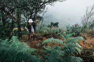 BIB: 
                            <button type="button" onclick="openModal(25329960)" class="btn btn-primary btn-sm float-right btn-popup" data-toggle="modal" data-target=".modal-high-quality">
                        <i class="fas fa-shopping-cart"></i> Add to Cart
                    </button>
                                            <button type="button" onclick="isThisMe(25329960, true)" class="btn btn-success btn-sm float-right btn-popup btn-isme hidden" data-toggle="tooltip" data-placement="bottom" title="นี่คือรูปของคุณใช่ไหม คลิกที่นี่เพื่อเอาเข้าอัลบั้ม">
                        <i class="fas fa-plus"></i> Add to album
                    </button>
                    <button type="button" onclick="isThisMe(25329960, false)" class="btn btn-warning btn-sm float-right btn-popup btn-isnotme hidden">
                        <i class="fas fa-ban"></i> Remove from album
                    </button>