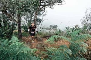 BIB: 
                            <button type="button" onclick="openModal(25329428)" class="btn btn-primary btn-sm float-right btn-popup" data-toggle="modal" data-target=".modal-high-quality">
                        <i class="fas fa-shopping-cart"></i> Add to Cart
                    </button>
                                            <button type="button" onclick="isThisMe(25329428, true)" class="btn btn-success btn-sm float-right btn-popup btn-isme hidden" data-toggle="tooltip" data-placement="bottom" title="นี่คือรูปของคุณใช่ไหม คลิกที่นี่เพื่อเอาเข้าอัลบั้ม">
                        <i class="fas fa-plus"></i> Add to album
                    </button>
                    <button type="button" onclick="isThisMe(25329428, false)" class="btn btn-warning btn-sm float-right btn-popup btn-isnotme hidden">
                        <i class="fas fa-ban"></i> Remove from album
                    </button>