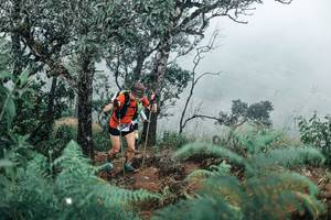 BIB: 
                            <button type="button" onclick="openModal(25329575)" class="btn btn-primary btn-sm float-right btn-popup" data-toggle="modal" data-target=".modal-high-quality">
                        <i class="fas fa-shopping-cart"></i> Add to Cart
                    </button>
                                            <button type="button" onclick="isThisMe(25329575, true)" class="btn btn-success btn-sm float-right btn-popup btn-isme hidden" data-toggle="tooltip" data-placement="bottom" title="นี่คือรูปของคุณใช่ไหม คลิกที่นี่เพื่อเอาเข้าอัลบั้ม">
                        <i class="fas fa-plus"></i> Add to album
                    </button>
                    <button type="button" onclick="isThisMe(25329575, false)" class="btn btn-warning btn-sm float-right btn-popup btn-isnotme hidden">
                        <i class="fas fa-ban"></i> Remove from album
                    </button>