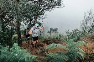 BIB: 
                            <button type="button" onclick="openModal(25330029)" class="btn btn-primary btn-sm float-right btn-popup" data-toggle="modal" data-target=".modal-high-quality">
                        <i class="fas fa-shopping-cart"></i> Add to Cart
                    </button>
                                            <button type="button" onclick="isThisMe(25330029, true)" class="btn btn-success btn-sm float-right btn-popup btn-isme hidden" data-toggle="tooltip" data-placement="bottom" title="นี่คือรูปของคุณใช่ไหม คลิกที่นี่เพื่อเอาเข้าอัลบั้ม">
                        <i class="fas fa-plus"></i> Add to album
                    </button>
                    <button type="button" onclick="isThisMe(25330029, false)" class="btn btn-warning btn-sm float-right btn-popup btn-isnotme hidden">
                        <i class="fas fa-ban"></i> Remove from album
                    </button>