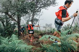 BIB: 
                            <button type="button" onclick="openModal(25329488)" class="btn btn-primary btn-sm float-right btn-popup" data-toggle="modal" data-target=".modal-high-quality">
                        <i class="fas fa-shopping-cart"></i> Add to Cart
                    </button>
                                            <button type="button" onclick="isThisMe(25329488, true)" class="btn btn-success btn-sm float-right btn-popup btn-isme hidden" data-toggle="tooltip" data-placement="bottom" title="นี่คือรูปของคุณใช่ไหม คลิกที่นี่เพื่อเอาเข้าอัลบั้ม">
                        <i class="fas fa-plus"></i> Add to album
                    </button>
                    <button type="button" onclick="isThisMe(25329488, false)" class="btn btn-warning btn-sm float-right btn-popup btn-isnotme hidden">
                        <i class="fas fa-ban"></i> Remove from album
                    </button>