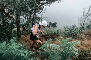 BIB: 
                            <button type="button" onclick="openModal(25329925)" class="btn btn-primary btn-sm float-right btn-popup" data-toggle="modal" data-target=".modal-high-quality">
                        <i class="fas fa-shopping-cart"></i> Add to Cart
                    </button>
                                            <button type="button" onclick="isThisMe(25329925, true)" class="btn btn-success btn-sm float-right btn-popup btn-isme hidden" data-toggle="tooltip" data-placement="bottom" title="นี่คือรูปของคุณใช่ไหม คลิกที่นี่เพื่อเอาเข้าอัลบั้ม">
                        <i class="fas fa-plus"></i> Add to album
                    </button>
                    <button type="button" onclick="isThisMe(25329925, false)" class="btn btn-warning btn-sm float-right btn-popup btn-isnotme hidden">
                        <i class="fas fa-ban"></i> Remove from album
                    </button>