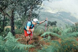 BIB: 
                            <button type="button" onclick="openModal(25338572)" class="btn btn-primary btn-sm float-right btn-popup" data-toggle="modal" data-target=".modal-high-quality">
                        <i class="fas fa-shopping-cart"></i> Add to Cart
                    </button>
                                            <button type="button" onclick="isThisMe(25338572, true)" class="btn btn-success btn-sm float-right btn-popup btn-isme hidden" data-toggle="tooltip" data-placement="bottom" title="นี่คือรูปของคุณใช่ไหม คลิกที่นี่เพื่อเอาเข้าอัลบั้ม">
                        <i class="fas fa-plus"></i> Add to album
                    </button>
                    <button type="button" onclick="isThisMe(25338572, false)" class="btn btn-warning btn-sm float-right btn-popup btn-isnotme hidden">
                        <i class="fas fa-ban"></i> Remove from album
                    </button>