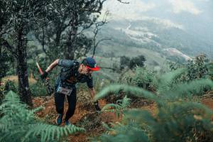 BIB: 
                            <button type="button" onclick="openModal(25339076)" class="btn btn-primary btn-sm float-right btn-popup" data-toggle="modal" data-target=".modal-high-quality">
                        <i class="fas fa-shopping-cart"></i> Add to Cart
                    </button>
                                            <button type="button" onclick="isThisMe(25339076, true)" class="btn btn-success btn-sm float-right btn-popup btn-isme hidden" data-toggle="tooltip" data-placement="bottom" title="นี่คือรูปของคุณใช่ไหม คลิกที่นี่เพื่อเอาเข้าอัลบั้ม">
                        <i class="fas fa-plus"></i> Add to album
                    </button>
                    <button type="button" onclick="isThisMe(25339076, false)" class="btn btn-warning btn-sm float-right btn-popup btn-isnotme hidden">
                        <i class="fas fa-ban"></i> Remove from album
                    </button>