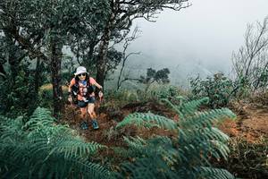 BIB: 
                            <button type="button" onclick="openModal(25329971)" class="btn btn-primary btn-sm float-right btn-popup" data-toggle="modal" data-target=".modal-high-quality">
                        <i class="fas fa-shopping-cart"></i> Add to Cart
                    </button>
                                            <button type="button" onclick="isThisMe(25329971, true)" class="btn btn-success btn-sm float-right btn-popup btn-isme hidden" data-toggle="tooltip" data-placement="bottom" title="นี่คือรูปของคุณใช่ไหม คลิกที่นี่เพื่อเอาเข้าอัลบั้ม">
                        <i class="fas fa-plus"></i> Add to album
                    </button>
                    <button type="button" onclick="isThisMe(25329971, false)" class="btn btn-warning btn-sm float-right btn-popup btn-isnotme hidden">
                        <i class="fas fa-ban"></i> Remove from album
                    </button>