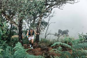 BIB: 
                            <button type="button" onclick="openModal(25329559)" class="btn btn-primary btn-sm float-right btn-popup" data-toggle="modal" data-target=".modal-high-quality">
                        <i class="fas fa-shopping-cart"></i> Add to Cart
                    </button>
                                            <button type="button" onclick="isThisMe(25329559, true)" class="btn btn-success btn-sm float-right btn-popup btn-isme hidden" data-toggle="tooltip" data-placement="bottom" title="นี่คือรูปของคุณใช่ไหม คลิกที่นี่เพื่อเอาเข้าอัลบั้ม">
                        <i class="fas fa-plus"></i> Add to album
                    </button>
                    <button type="button" onclick="isThisMe(25329559, false)" class="btn btn-warning btn-sm float-right btn-popup btn-isnotme hidden">
                        <i class="fas fa-ban"></i> Remove from album
                    </button>