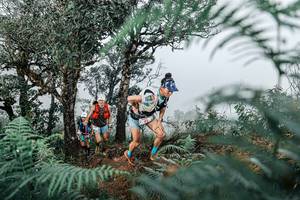 BIB: 
                            <button type="button" onclick="openModal(25328839)" class="btn btn-primary btn-sm float-right btn-popup" data-toggle="modal" data-target=".modal-high-quality">
                        <i class="fas fa-shopping-cart"></i> Add to Cart
                    </button>
                                            <button type="button" onclick="isThisMe(25328839, true)" class="btn btn-success btn-sm float-right btn-popup btn-isme hidden" data-toggle="tooltip" data-placement="bottom" title="นี่คือรูปของคุณใช่ไหม คลิกที่นี่เพื่อเอาเข้าอัลบั้ม">
                        <i class="fas fa-plus"></i> Add to album
                    </button>
                    <button type="button" onclick="isThisMe(25328839, false)" class="btn btn-warning btn-sm float-right btn-popup btn-isnotme hidden">
                        <i class="fas fa-ban"></i> Remove from album
                    </button>