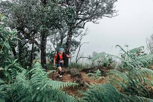 BIB: 
                            <button type="button" onclick="openModal(25329516)" class="btn btn-primary btn-sm float-right btn-popup" data-toggle="modal" data-target=".modal-high-quality">
                        <i class="fas fa-shopping-cart"></i> Add to Cart
                    </button>
                                            <button type="button" onclick="isThisMe(25329516, true)" class="btn btn-success btn-sm float-right btn-popup btn-isme hidden" data-toggle="tooltip" data-placement="bottom" title="นี่คือรูปของคุณใช่ไหม คลิกที่นี่เพื่อเอาเข้าอัลบั้ม">
                        <i class="fas fa-plus"></i> Add to album
                    </button>
                    <button type="button" onclick="isThisMe(25329516, false)" class="btn btn-warning btn-sm float-right btn-popup btn-isnotme hidden">
                        <i class="fas fa-ban"></i> Remove from album
                    </button>