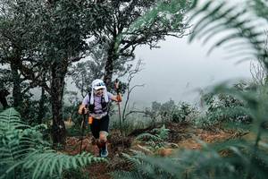 BIB: 
                            <button type="button" onclick="openModal(25329843)" class="btn btn-primary btn-sm float-right btn-popup" data-toggle="modal" data-target=".modal-high-quality">
                        <i class="fas fa-shopping-cart"></i> Add to Cart
                    </button>
                                            <button type="button" onclick="isThisMe(25329843, true)" class="btn btn-success btn-sm float-right btn-popup btn-isme hidden" data-toggle="tooltip" data-placement="bottom" title="นี่คือรูปของคุณใช่ไหม คลิกที่นี่เพื่อเอาเข้าอัลบั้ม">
                        <i class="fas fa-plus"></i> Add to album
                    </button>
                    <button type="button" onclick="isThisMe(25329843, false)" class="btn btn-warning btn-sm float-right btn-popup btn-isnotme hidden">
                        <i class="fas fa-ban"></i> Remove from album
                    </button>