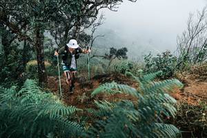 BIB: 
                            <button type="button" onclick="openModal(25329967)" class="btn btn-primary btn-sm float-right btn-popup" data-toggle="modal" data-target=".modal-high-quality">
                        <i class="fas fa-shopping-cart"></i> Add to Cart
                    </button>
                                            <button type="button" onclick="isThisMe(25329967, true)" class="btn btn-success btn-sm float-right btn-popup btn-isme hidden" data-toggle="tooltip" data-placement="bottom" title="นี่คือรูปของคุณใช่ไหม คลิกที่นี่เพื่อเอาเข้าอัลบั้ม">
                        <i class="fas fa-plus"></i> Add to album
                    </button>
                    <button type="button" onclick="isThisMe(25329967, false)" class="btn btn-warning btn-sm float-right btn-popup btn-isnotme hidden">
                        <i class="fas fa-ban"></i> Remove from album
                    </button>