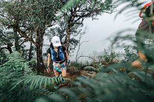 BIB: 
                            <button type="button" onclick="openModal(25328867)" class="btn btn-primary btn-sm float-right btn-popup" data-toggle="modal" data-target=".modal-high-quality">
                        <i class="fas fa-shopping-cart"></i> Add to Cart
                    </button>
                                            <button type="button" onclick="isThisMe(25328867, true)" class="btn btn-success btn-sm float-right btn-popup btn-isme hidden" data-toggle="tooltip" data-placement="bottom" title="นี่คือรูปของคุณใช่ไหม คลิกที่นี่เพื่อเอาเข้าอัลบั้ม">
                        <i class="fas fa-plus"></i> Add to album
                    </button>
                    <button type="button" onclick="isThisMe(25328867, false)" class="btn btn-warning btn-sm float-right btn-popup btn-isnotme hidden">
                        <i class="fas fa-ban"></i> Remove from album
                    </button>