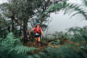 BIB: 
                            <button type="button" onclick="openModal(25335979)" class="btn btn-primary btn-sm float-right btn-popup" data-toggle="modal" data-target=".modal-high-quality">
                        <i class="fas fa-shopping-cart"></i> Add to Cart
                    </button>
                                            <button type="button" onclick="isThisMe(25335979, true)" class="btn btn-success btn-sm float-right btn-popup btn-isme hidden" data-toggle="tooltip" data-placement="bottom" title="นี่คือรูปของคุณใช่ไหม คลิกที่นี่เพื่อเอาเข้าอัลบั้ม">
                        <i class="fas fa-plus"></i> Add to album
                    </button>
                    <button type="button" onclick="isThisMe(25335979, false)" class="btn btn-warning btn-sm float-right btn-popup btn-isnotme hidden">
                        <i class="fas fa-ban"></i> Remove from album
                    </button>