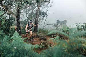 BIB: 
                            <button type="button" onclick="openModal(25337847)" class="btn btn-primary btn-sm float-right btn-popup" data-toggle="modal" data-target=".modal-high-quality">
                        <i class="fas fa-shopping-cart"></i> Add to Cart
                    </button>
                                            <button type="button" onclick="isThisMe(25337847, true)" class="btn btn-success btn-sm float-right btn-popup btn-isme hidden" data-toggle="tooltip" data-placement="bottom" title="นี่คือรูปของคุณใช่ไหม คลิกที่นี่เพื่อเอาเข้าอัลบั้ม">
                        <i class="fas fa-plus"></i> Add to album
                    </button>
                    <button type="button" onclick="isThisMe(25337847, false)" class="btn btn-warning btn-sm float-right btn-popup btn-isnotme hidden">
                        <i class="fas fa-ban"></i> Remove from album
                    </button>