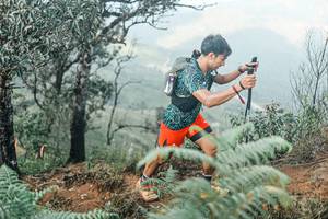 BIB: 
                            <button type="button" onclick="openModal(25339599)" class="btn btn-primary btn-sm float-right btn-popup" data-toggle="modal" data-target=".modal-high-quality">
                        <i class="fas fa-shopping-cart"></i> Add to Cart
                    </button>
                                            <button type="button" onclick="isThisMe(25339599, true)" class="btn btn-success btn-sm float-right btn-popup btn-isme hidden" data-toggle="tooltip" data-placement="bottom" title="นี่คือรูปของคุณใช่ไหม คลิกที่นี่เพื่อเอาเข้าอัลบั้ม">
                        <i class="fas fa-plus"></i> Add to album
                    </button>
                    <button type="button" onclick="isThisMe(25339599, false)" class="btn btn-warning btn-sm float-right btn-popup btn-isnotme hidden">
                        <i class="fas fa-ban"></i> Remove from album
                    </button>