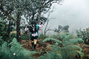 BIB: 
                            <button type="button" onclick="openModal(25329588)" class="btn btn-primary btn-sm float-right btn-popup" data-toggle="modal" data-target=".modal-high-quality">
                        <i class="fas fa-shopping-cart"></i> Add to Cart
                    </button>
                                            <button type="button" onclick="isThisMe(25329588, true)" class="btn btn-success btn-sm float-right btn-popup btn-isme hidden" data-toggle="tooltip" data-placement="bottom" title="นี่คือรูปของคุณใช่ไหม คลิกที่นี่เพื่อเอาเข้าอัลบั้ม">
                        <i class="fas fa-plus"></i> Add to album
                    </button>
                    <button type="button" onclick="isThisMe(25329588, false)" class="btn btn-warning btn-sm float-right btn-popup btn-isnotme hidden">
                        <i class="fas fa-ban"></i> Remove from album
                    </button>