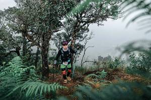 BIB: 
                            <button type="button" onclick="openModal(25329131)" class="btn btn-primary btn-sm float-right btn-popup" data-toggle="modal" data-target=".modal-high-quality">
                        <i class="fas fa-shopping-cart"></i> Add to Cart
                    </button>
                                            <button type="button" onclick="isThisMe(25329131, true)" class="btn btn-success btn-sm float-right btn-popup btn-isme hidden" data-toggle="tooltip" data-placement="bottom" title="นี่คือรูปของคุณใช่ไหม คลิกที่นี่เพื่อเอาเข้าอัลบั้ม">
                        <i class="fas fa-plus"></i> Add to album
                    </button>
                    <button type="button" onclick="isThisMe(25329131, false)" class="btn btn-warning btn-sm float-right btn-popup btn-isnotme hidden">
                        <i class="fas fa-ban"></i> Remove from album
                    </button>