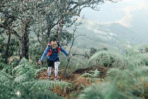 BIB: 
                            <button type="button" onclick="openModal(25339602)" class="btn btn-primary btn-sm float-right btn-popup" data-toggle="modal" data-target=".modal-high-quality">
                        <i class="fas fa-shopping-cart"></i> Add to Cart
                    </button>
                                            <button type="button" onclick="isThisMe(25339602, true)" class="btn btn-success btn-sm float-right btn-popup btn-isme hidden" data-toggle="tooltip" data-placement="bottom" title="นี่คือรูปของคุณใช่ไหม คลิกที่นี่เพื่อเอาเข้าอัลบั้ม">
                        <i class="fas fa-plus"></i> Add to album
                    </button>
                    <button type="button" onclick="isThisMe(25339602, false)" class="btn btn-warning btn-sm float-right btn-popup btn-isnotme hidden">
                        <i class="fas fa-ban"></i> Remove from album
                    </button>