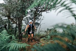 BIB: 
                            <button type="button" onclick="openModal(25329097)" class="btn btn-primary btn-sm float-right btn-popup" data-toggle="modal" data-target=".modal-high-quality">
                        <i class="fas fa-shopping-cart"></i> Add to Cart
                    </button>
                                            <button type="button" onclick="isThisMe(25329097, true)" class="btn btn-success btn-sm float-right btn-popup btn-isme hidden" data-toggle="tooltip" data-placement="bottom" title="นี่คือรูปของคุณใช่ไหม คลิกที่นี่เพื่อเอาเข้าอัลบั้ม">
                        <i class="fas fa-plus"></i> Add to album
                    </button>
                    <button type="button" onclick="isThisMe(25329097, false)" class="btn btn-warning btn-sm float-right btn-popup btn-isnotme hidden">
                        <i class="fas fa-ban"></i> Remove from album
                    </button>