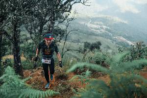 BIB: 
                            <button type="button" onclick="openModal(25339068)" class="btn btn-primary btn-sm float-right btn-popup" data-toggle="modal" data-target=".modal-high-quality">
                        <i class="fas fa-shopping-cart"></i> Add to Cart
                    </button>
                                            <button type="button" onclick="isThisMe(25339068, true)" class="btn btn-success btn-sm float-right btn-popup btn-isme hidden" data-toggle="tooltip" data-placement="bottom" title="นี่คือรูปของคุณใช่ไหม คลิกที่นี่เพื่อเอาเข้าอัลบั้ม">
                        <i class="fas fa-plus"></i> Add to album
                    </button>
                    <button type="button" onclick="isThisMe(25339068, false)" class="btn btn-warning btn-sm float-right btn-popup btn-isnotme hidden">
                        <i class="fas fa-ban"></i> Remove from album
                    </button>