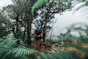 BIB: 
                            <button type="button" onclick="openModal(25329007)" class="btn btn-primary btn-sm float-right btn-popup" data-toggle="modal" data-target=".modal-high-quality">
                        <i class="fas fa-shopping-cart"></i> Add to Cart
                    </button>
                                            <button type="button" onclick="isThisMe(25329007, true)" class="btn btn-success btn-sm float-right btn-popup btn-isme hidden" data-toggle="tooltip" data-placement="bottom" title="นี่คือรูปของคุณใช่ไหม คลิกที่นี่เพื่อเอาเข้าอัลบั้ม">
                        <i class="fas fa-plus"></i> Add to album
                    </button>
                    <button type="button" onclick="isThisMe(25329007, false)" class="btn btn-warning btn-sm float-right btn-popup btn-isnotme hidden">
                        <i class="fas fa-ban"></i> Remove from album
                    </button>