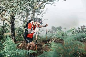 BIB: 
                            <button type="button" onclick="openModal(25338016)" class="btn btn-primary btn-sm float-right btn-popup" data-toggle="modal" data-target=".modal-high-quality">
                        <i class="fas fa-shopping-cart"></i> Add to Cart
                    </button>
                                            <button type="button" onclick="isThisMe(25338016, true)" class="btn btn-success btn-sm float-right btn-popup btn-isme hidden" data-toggle="tooltip" data-placement="bottom" title="นี่คือรูปของคุณใช่ไหม คลิกที่นี่เพื่อเอาเข้าอัลบั้ม">
                        <i class="fas fa-plus"></i> Add to album
                    </button>
                    <button type="button" onclick="isThisMe(25338016, false)" class="btn btn-warning btn-sm float-right btn-popup btn-isnotme hidden">
                        <i class="fas fa-ban"></i> Remove from album
                    </button>