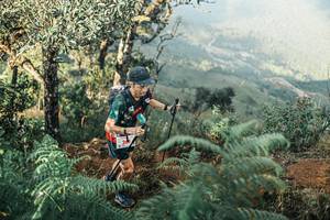 BIB: 
                            <button type="button" onclick="openModal(25340110)" class="btn btn-primary btn-sm float-right btn-popup" data-toggle="modal" data-target=".modal-high-quality">
                        <i class="fas fa-shopping-cart"></i> Add to Cart
                    </button>
                                            <button type="button" onclick="isThisMe(25340110, true)" class="btn btn-success btn-sm float-right btn-popup btn-isme hidden" data-toggle="tooltip" data-placement="bottom" title="นี่คือรูปของคุณใช่ไหม คลิกที่นี่เพื่อเอาเข้าอัลบั้ม">
                        <i class="fas fa-plus"></i> Add to album
                    </button>
                    <button type="button" onclick="isThisMe(25340110, false)" class="btn btn-warning btn-sm float-right btn-popup btn-isnotme hidden">
                        <i class="fas fa-ban"></i> Remove from album
                    </button>