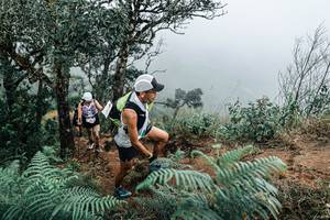 BIB: 
                            <button type="button" onclick="openModal(25329921)" class="btn btn-primary btn-sm float-right btn-popup" data-toggle="modal" data-target=".modal-high-quality">
                        <i class="fas fa-shopping-cart"></i> Add to Cart
                    </button>
                                            <button type="button" onclick="isThisMe(25329921, true)" class="btn btn-success btn-sm float-right btn-popup btn-isme hidden" data-toggle="tooltip" data-placement="bottom" title="นี่คือรูปของคุณใช่ไหม คลิกที่นี่เพื่อเอาเข้าอัลบั้ม">
                        <i class="fas fa-plus"></i> Add to album
                    </button>
                    <button type="button" onclick="isThisMe(25329921, false)" class="btn btn-warning btn-sm float-right btn-popup btn-isnotme hidden">
                        <i class="fas fa-ban"></i> Remove from album
                    </button>