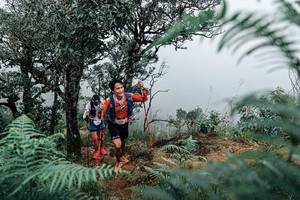 BIB: 
                            <button type="button" onclick="openModal(25329785)" class="btn btn-primary btn-sm float-right btn-popup" data-toggle="modal" data-target=".modal-high-quality">
                        <i class="fas fa-shopping-cart"></i> Add to Cart
                    </button>
                                            <button type="button" onclick="isThisMe(25329785, true)" class="btn btn-success btn-sm float-right btn-popup btn-isme hidden" data-toggle="tooltip" data-placement="bottom" title="นี่คือรูปของคุณใช่ไหม คลิกที่นี่เพื่อเอาเข้าอัลบั้ม">
                        <i class="fas fa-plus"></i> Add to album
                    </button>
                    <button type="button" onclick="isThisMe(25329785, false)" class="btn btn-warning btn-sm float-right btn-popup btn-isnotme hidden">
                        <i class="fas fa-ban"></i> Remove from album
                    </button>