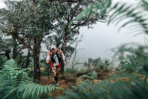 BIB: 
                            <button type="button" onclick="openModal(25329109)" class="btn btn-primary btn-sm float-right btn-popup" data-toggle="modal" data-target=".modal-high-quality">
                        <i class="fas fa-shopping-cart"></i> Add to Cart
                    </button>
                                            <button type="button" onclick="isThisMe(25329109, true)" class="btn btn-success btn-sm float-right btn-popup btn-isme hidden" data-toggle="tooltip" data-placement="bottom" title="นี่คือรูปของคุณใช่ไหม คลิกที่นี่เพื่อเอาเข้าอัลบั้ม">
                        <i class="fas fa-plus"></i> Add to album
                    </button>
                    <button type="button" onclick="isThisMe(25329109, false)" class="btn btn-warning btn-sm float-right btn-popup btn-isnotme hidden">
                        <i class="fas fa-ban"></i> Remove from album
                    </button>