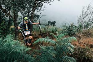 BIB: 
                            <button type="button" onclick="openModal(25329990)" class="btn btn-primary btn-sm float-right btn-popup" data-toggle="modal" data-target=".modal-high-quality">
                        <i class="fas fa-shopping-cart"></i> Add to Cart
                    </button>
                                            <button type="button" onclick="isThisMe(25329990, true)" class="btn btn-success btn-sm float-right btn-popup btn-isme hidden" data-toggle="tooltip" data-placement="bottom" title="นี่คือรูปของคุณใช่ไหม คลิกที่นี่เพื่อเอาเข้าอัลบั้ม">
                        <i class="fas fa-plus"></i> Add to album
                    </button>
                    <button type="button" onclick="isThisMe(25329990, false)" class="btn btn-warning btn-sm float-right btn-popup btn-isnotme hidden">
                        <i class="fas fa-ban"></i> Remove from album
                    </button>