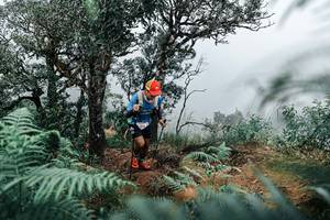 BIB: 
                            <button type="button" onclick="openModal(25328988)" class="btn btn-primary btn-sm float-right btn-popup" data-toggle="modal" data-target=".modal-high-quality">
                        <i class="fas fa-shopping-cart"></i> Add to Cart
                    </button>
                                            <button type="button" onclick="isThisMe(25328988, true)" class="btn btn-success btn-sm float-right btn-popup btn-isme hidden" data-toggle="tooltip" data-placement="bottom" title="นี่คือรูปของคุณใช่ไหม คลิกที่นี่เพื่อเอาเข้าอัลบั้ม">
                        <i class="fas fa-plus"></i> Add to album
                    </button>
                    <button type="button" onclick="isThisMe(25328988, false)" class="btn btn-warning btn-sm float-right btn-popup btn-isnotme hidden">
                        <i class="fas fa-ban"></i> Remove from album
                    </button>