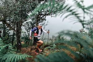 BIB: 
                            <button type="button" onclick="openModal(25335927)" class="btn btn-primary btn-sm float-right btn-popup" data-toggle="modal" data-target=".modal-high-quality">
                        <i class="fas fa-shopping-cart"></i> Add to Cart
                    </button>
                                            <button type="button" onclick="isThisMe(25335927, true)" class="btn btn-success btn-sm float-right btn-popup btn-isme hidden" data-toggle="tooltip" data-placement="bottom" title="นี่คือรูปของคุณใช่ไหม คลิกที่นี่เพื่อเอาเข้าอัลบั้ม">
                        <i class="fas fa-plus"></i> Add to album
                    </button>
                    <button type="button" onclick="isThisMe(25335927, false)" class="btn btn-warning btn-sm float-right btn-popup btn-isnotme hidden">
                        <i class="fas fa-ban"></i> Remove from album
                    </button>