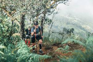 BIB: 
                            <button type="button" onclick="openModal(25338341)" class="btn btn-primary btn-sm float-right btn-popup" data-toggle="modal" data-target=".modal-high-quality">
                        <i class="fas fa-shopping-cart"></i> Add to Cart
                    </button>
                                            <button type="button" onclick="isThisMe(25338341, true)" class="btn btn-success btn-sm float-right btn-popup btn-isme hidden" data-toggle="tooltip" data-placement="bottom" title="นี่คือรูปของคุณใช่ไหม คลิกที่นี่เพื่อเอาเข้าอัลบั้ม">
                        <i class="fas fa-plus"></i> Add to album
                    </button>
                    <button type="button" onclick="isThisMe(25338341, false)" class="btn btn-warning btn-sm float-right btn-popup btn-isnotme hidden">
                        <i class="fas fa-ban"></i> Remove from album
                    </button>