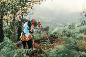 BIB: 
                            <button type="button" onclick="openModal(25334669)" class="btn btn-primary btn-sm float-right btn-popup" data-toggle="modal" data-target=".modal-high-quality">
                        <i class="fas fa-shopping-cart"></i> Add to Cart
                    </button>
                                            <button type="button" onclick="isThisMe(25334669, true)" class="btn btn-success btn-sm float-right btn-popup btn-isme hidden" data-toggle="tooltip" data-placement="bottom" title="นี่คือรูปของคุณใช่ไหม คลิกที่นี่เพื่อเอาเข้าอัลบั้ม">
                        <i class="fas fa-plus"></i> Add to album
                    </button>
                    <button type="button" onclick="isThisMe(25334669, false)" class="btn btn-warning btn-sm float-right btn-popup btn-isnotme hidden">
                        <i class="fas fa-ban"></i> Remove from album
                    </button>