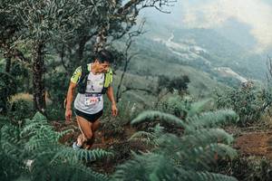 BIB: 
                            <button type="button" onclick="openModal(25333605)" class="btn btn-primary btn-sm float-right btn-popup" data-toggle="modal" data-target=".modal-high-quality">
                        <i class="fas fa-shopping-cart"></i> Add to Cart
                    </button>
                                            <button type="button" onclick="isThisMe(25333605, true)" class="btn btn-success btn-sm float-right btn-popup btn-isme hidden" data-toggle="tooltip" data-placement="bottom" title="นี่คือรูปของคุณใช่ไหม คลิกที่นี่เพื่อเอาเข้าอัลบั้ม">
                        <i class="fas fa-plus"></i> Add to album
                    </button>
                    <button type="button" onclick="isThisMe(25333605, false)" class="btn btn-warning btn-sm float-right btn-popup btn-isnotme hidden">
                        <i class="fas fa-ban"></i> Remove from album
                    </button>