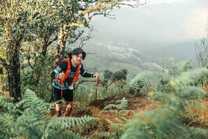 BIB: 
                            <button type="button" onclick="openModal(25334572)" class="btn btn-primary btn-sm float-right btn-popup" data-toggle="modal" data-target=".modal-high-quality">
                        <i class="fas fa-shopping-cart"></i> Add to Cart
                    </button>
                                            <button type="button" onclick="isThisMe(25334572, true)" class="btn btn-success btn-sm float-right btn-popup btn-isme hidden" data-toggle="tooltip" data-placement="bottom" title="นี่คือรูปของคุณใช่ไหม คลิกที่นี่เพื่อเอาเข้าอัลบั้ม">
                        <i class="fas fa-plus"></i> Add to album
                    </button>
                    <button type="button" onclick="isThisMe(25334572, false)" class="btn btn-warning btn-sm float-right btn-popup btn-isnotme hidden">
                        <i class="fas fa-ban"></i> Remove from album
                    </button>