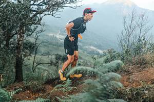 BIB: 
                            <button type="button" onclick="openModal(25333955)" class="btn btn-primary btn-sm float-right btn-popup" data-toggle="modal" data-target=".modal-high-quality">
                        <i class="fas fa-shopping-cart"></i> Add to Cart
                    </button>
                                            <button type="button" onclick="isThisMe(25333955, true)" class="btn btn-success btn-sm float-right btn-popup btn-isme hidden" data-toggle="tooltip" data-placement="bottom" title="นี่คือรูปของคุณใช่ไหม คลิกที่นี่เพื่อเอาเข้าอัลบั้ม">
                        <i class="fas fa-plus"></i> Add to album
                    </button>
                    <button type="button" onclick="isThisMe(25333955, false)" class="btn btn-warning btn-sm float-right btn-popup btn-isnotme hidden">
                        <i class="fas fa-ban"></i> Remove from album
                    </button>