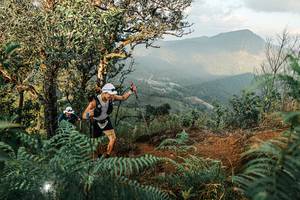 BIB: 
                            <button type="button" onclick="openModal(25334466)" class="btn btn-primary btn-sm float-right btn-popup" data-toggle="modal" data-target=".modal-high-quality">
                        <i class="fas fa-shopping-cart"></i> Add to Cart
                    </button>
                                            <button type="button" onclick="isThisMe(25334466, true)" class="btn btn-success btn-sm float-right btn-popup btn-isme hidden" data-toggle="tooltip" data-placement="bottom" title="นี่คือรูปของคุณใช่ไหม คลิกที่นี่เพื่อเอาเข้าอัลบั้ม">
                        <i class="fas fa-plus"></i> Add to album
                    </button>
                    <button type="button" onclick="isThisMe(25334466, false)" class="btn btn-warning btn-sm float-right btn-popup btn-isnotme hidden">
                        <i class="fas fa-ban"></i> Remove from album
                    </button>