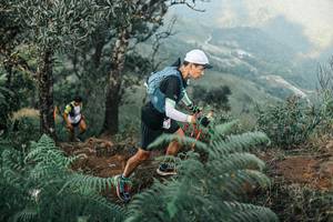 BIB: 
                            <button type="button" onclick="openModal(25333589)" class="btn btn-primary btn-sm float-right btn-popup" data-toggle="modal" data-target=".modal-high-quality">
                        <i class="fas fa-shopping-cart"></i> Add to Cart
                    </button>
                                            <button type="button" onclick="isThisMe(25333589, true)" class="btn btn-success btn-sm float-right btn-popup btn-isme hidden" data-toggle="tooltip" data-placement="bottom" title="นี่คือรูปของคุณใช่ไหม คลิกที่นี่เพื่อเอาเข้าอัลบั้ม">
                        <i class="fas fa-plus"></i> Add to album
                    </button>
                    <button type="button" onclick="isThisMe(25333589, false)" class="btn btn-warning btn-sm float-right btn-popup btn-isnotme hidden">
                        <i class="fas fa-ban"></i> Remove from album
                    </button>